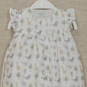 Pagliaccetto micolino